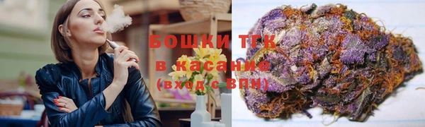 Альфа ПВП Горняк