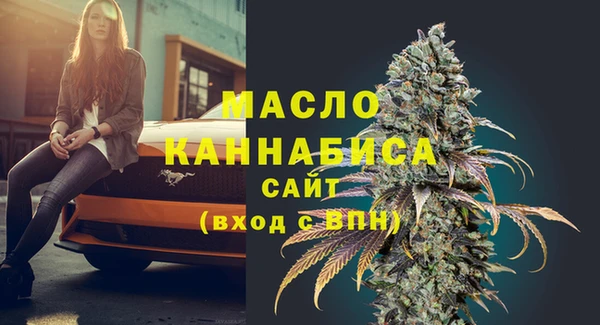 Альфа ПВП Горняк