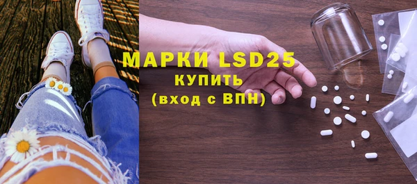 Альфа ПВП Горняк